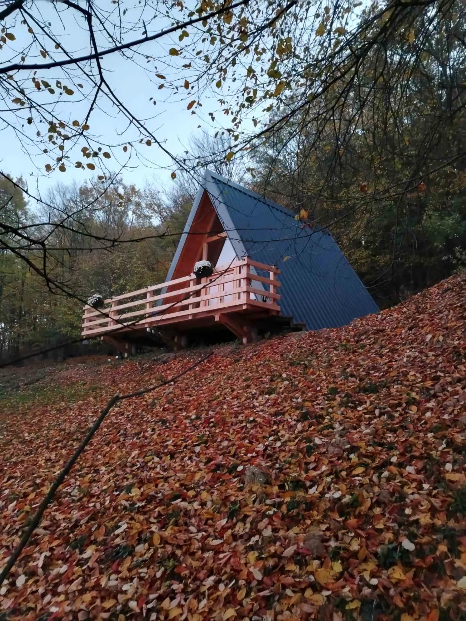 Majdanskikutak2 *